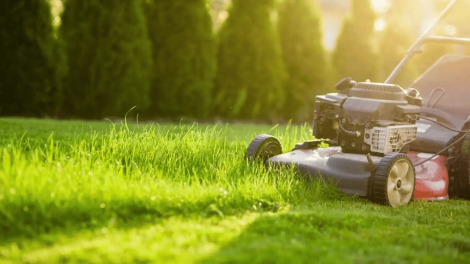 MDA Services — lawn care in Camden